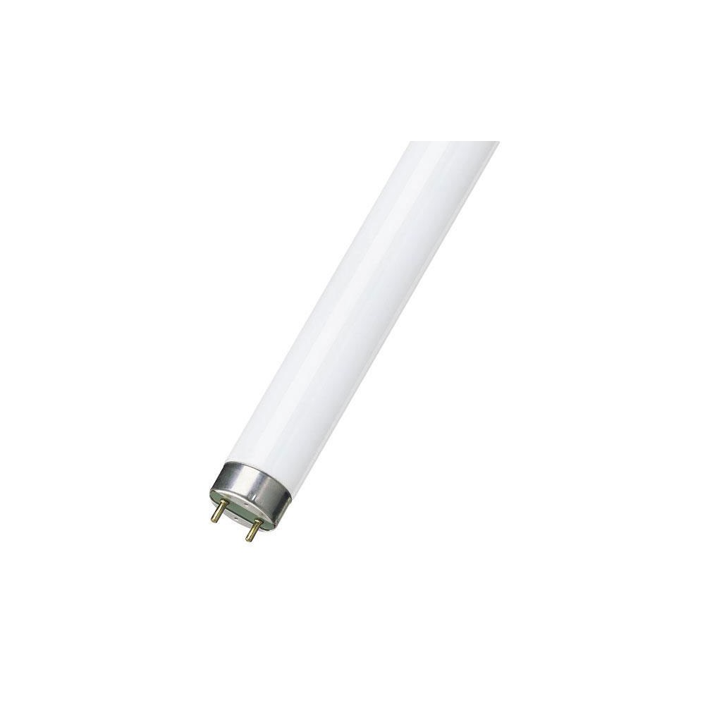 Fluo cev 36W 1213.60  mm 6200K Philips - SIFC40
