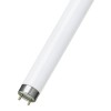 Fluo cev 36W 1213.60  mm 6200K Philips - SIFC40