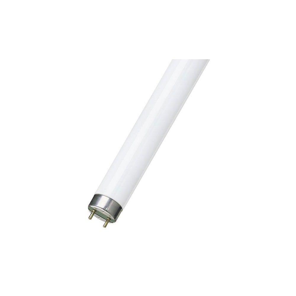 Fluo cev 18W 60cm 230V  Philips 6400k - SIFC20