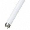 Fluo cev 18W 60cm 230V  Philips 6400k - SIFC20
