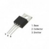 Tranz. N-Darl + Di 100V 12A 80W TO220 - TRBDW93C