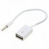 Adapter USB Z. na AUX 17cm 4pin - UTAUSBZ/AUX