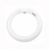 Okrugla fluo sijalica  22W 205 mm za lupu NKL02 - ALLU1-S