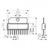 IC 2xRecorder ALC SIP10 - ICM51544AL