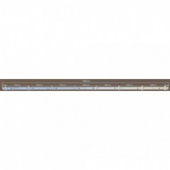LED TRAKA ZA FOX 43" OS