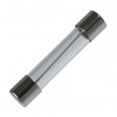 Osig.fast 6,3X32mm 250V 10A SIBA